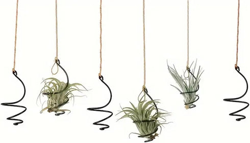 Nwsrayu 6 set pcs Hanging Air Plant Holder Air Plant Hanger with Jute Ropes, Soilless Air Plant Stand Tillandsia