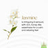 Gonesh Extra Rich Scented Incense Sticks - Non-Toxic 10” Slow Burn Aromatic Sticks - Jasmine, 80 Pack