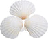 25pcs White Scallop Shells, 2-3 Inches Natural Seashells for DIY Crafts, Home Decor, Baking Shells