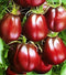 SeedsUA Seeds Tomato Black Truffle Vegetable Garden Heirloom for Planting Non GMO