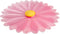 Charles Viancin Daisy Silicone Lid for Food Storage, 8'' Airtight Seal, BPA-Free, Oven, Microwave, Freezer Safe