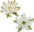 PME Set of 3 Rose Calyx Stainless Steel Cutters