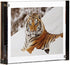 Canetti Graphite Color Edge Magnet Frame, Square 4x4 Inch