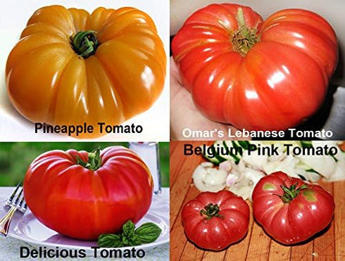 Harley Seeds 30 19 Mixed Seeds Giant Tomato Seeds, Mix of Varieties, Heirloom Non-GMO, Brandywine Black, Red, Yellow