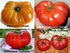 Harley Seeds 30 19 Mixed Seeds Giant Tomato Seeds, Mix of Varieties, Heirloom Non-GMO, Brandywine Black, Red, Yellow