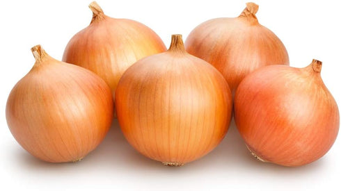 50+ Candy Hybrid Onion Seeds (Allium cepa) Non-GMO Seeds by Islas Garden Seeds, Sweet & Mild Variety, Ideal for Fresh