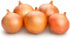 50+ Candy Hybrid Onion Seeds (Allium cepa) Non-GMO Seeds by Islas Garden Seeds, Sweet & Mild Variety, Ideal for Fresh