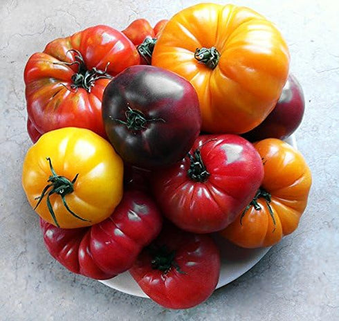 Harley Seeds This is A Mix 30 Rainbow Deluxe Tomato Seeds Mix 16 Varieties,