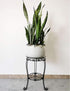 11.8 inches (18.9 INCHES Diameter Tall Metal Plant Stand for Indoor or Outdoor,Heavy Duty Flower Pot Stand Rack Holds