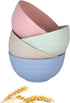 WANBY Lightweight Wheat Straw Cereal Bowls, Unbreakable Dinner Dishes, Dishwasher & Microwave Safe (Small 4 Pack 4.5')