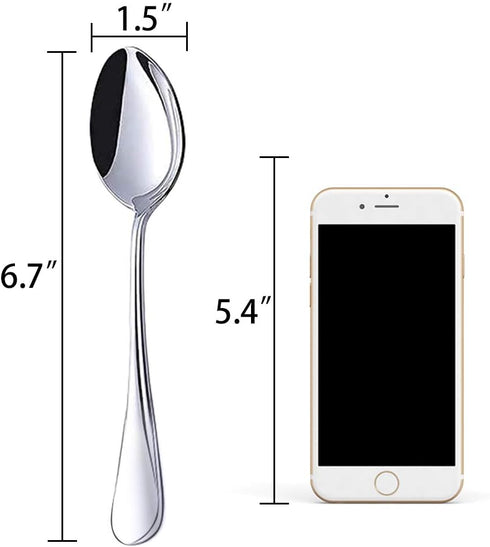 HANSGO Teaspoons Stainless Steel, 6 Piece Dinner Spoons Set 6.7 inches Dessert Spoons Use for Home, Kitchen or Restaurant