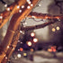 8FT 10 Count Bulbs LIDORE Super Bright Clear Mini Christmas Tree String Lights, Gift for Decoration, with Brown Cord