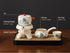 Set 6 Set,Chinese Set Semi Automatic Tea Magic Teapot with cups Japanese Teapot Gongfu Tea Ceramic Teapot with Infuser