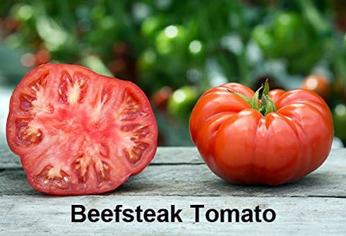 Harley Seeds 30 19 Mixed Seeds Giant Tomato Seeds, Mix of Varieties, Heirloom Non-GMO, Brandywine Black, Red, Yellow