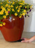 POTRISERS 2" 2" 3/4" 12 3 Large x x - Pieces Outdoor Plant Risers & Drainage Invisible Pot Feet Elevates up