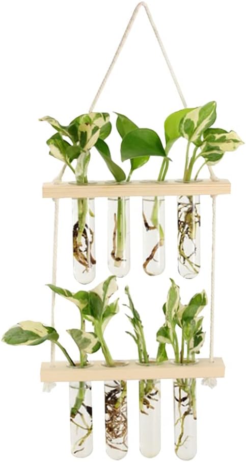 ORANGE NEI Wall Hanging Planter, 2 Tiered Plant Propagation Stations Plant Terrarium with Wooden
