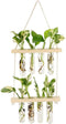 ORANGE NEI Wall Hanging Planter, 2 Tiered Plant Propagation Stations Plant Terrarium with Wooden