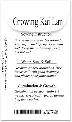 MySeeds.Co - BIG PACK Seeds Pack (1,500) Pack Big - Chinese Broccoli, Kailan GAI LAN Seeds - Used in Cantonese Cuisine