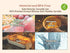 MOMOBIN Microwave Silicone Steamer for Baby Food, Easy Clean, Dishwasher & Oven Safe to 482°F, Korea Made (Creme
