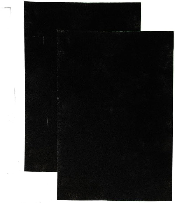 LivePure CocoCarbon Replacement LP-PF900 Pre-Filter for Aspen Series Air Purifier, 2 Pack, Black
