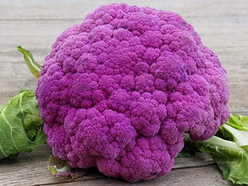 NIKA SEEDS Seeds Vegetable Cauliflower Purple Cabbage - 100 Seeds