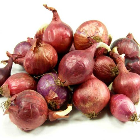 Sets, 8 oz, Bulbs, 50-60 Count Red Baron Red Onion Non-GMO Stargazer Perennials