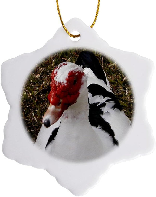 3dRose Muscovy Duck Snowflake Ornament, 3"