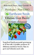100 Tibetan Goji Berry Seeds (Lycium chinense) Heirloom - Non GMO - Open Pollinated