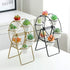 6 Ferris Wheel Plant Stand with Planters Succulent Pots for Home Office Desk Decoration (Black)