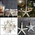 Nautical Crush Trading Starfish Decor, 5 White Starfish 4-6" and 5 Knobby Starfish 2-3.5" for Coastal Party