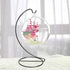 YEARCHY (1, 9.1''x4.1''), Ornament Display Hanger Rack Stand Hook Chrismas Ornament Party Decoration Holder Air Plant