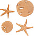 Sand Dollar & Starfish Set Silicone Mold SC146 by First Impressions Molds for Baking