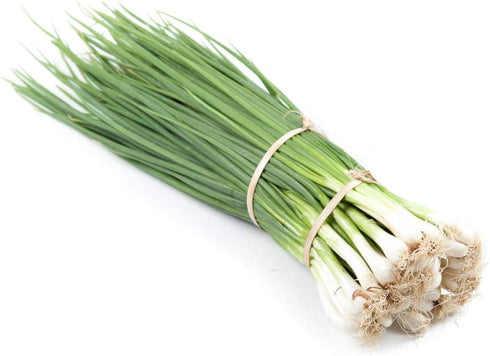 500+ Packet, Evergreen Bunching Nebuka Onion Seeds for Planting, Heirloom Seeds Per (Isla's Garden Seeds), Non GMO