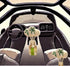 OASIS PAD for Car Humidification, 24hrs Free Power Supply Humidifier for Natural Humidification in Car