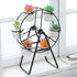 6 Ferris Wheel Plant Stand with Planters Succulent Pots for Home Office Desk Decoration (Black)