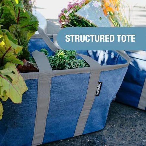 CleverMade 30L 30 lb EcoBasket Collapsible Tote Basket Reusable Grocery Tote That Stands Upright, Foldable Shopping