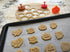 R&M International 0 Autumn Pastry/Cookie/Fondant Stampers, 4-Piece Set, Turkey, Acorn, Pumpkin