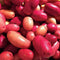 Park Seed Clancy F1 Pelleted Potato Seeds, Includes 25 Seeds in a