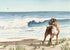 Boxer At The Beach Watercolor Art Print by David J Rogers