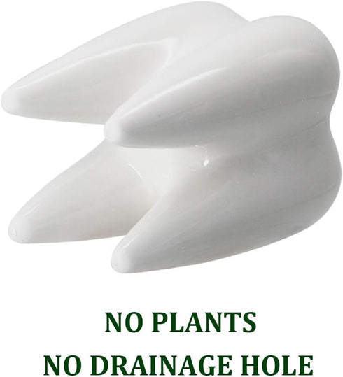 YOFIT Modern Style Teeth Pots Ceramic Flower Pot for Dental Gifts, White Succulent Cactus Planter, Set of 4