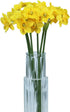 Tinsow 15.8 Inches Artificial Daffodil Flowers, Fake Silk Flower Arrangement for Home Wedding Decor (Yellow, 12)