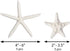 Nautical Crush Trading Starfish Decor, 5 White Starfish 4-6" and 5 Knobby Starfish 2-3.5" for Coastal Party