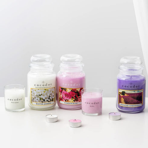 COCODOR Scented Tealight Candles, Winter Jasmine, 25 Pack, 4-5 Hour Burn Time, Made in Italy, Cotton Wick Home Deco