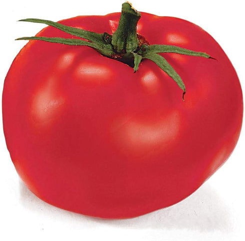 Park Seed Variety of Tomato Seeds, Planting Vegetables, Easy to Grow, Non-GMO,
