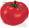 Park Seed Variety of Tomato Seeds, Planting Vegetables, Easy to Grow, Non-GMO,