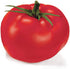Park Seed Variety of Tomato Seeds, Planting Vegetables, Easy to Grow, Non-GMO,