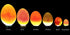 Powerful Professional LED Light Egg Candler Incubator Stainless Steel Tester for All Egg Type, Ultra Bright, Powered