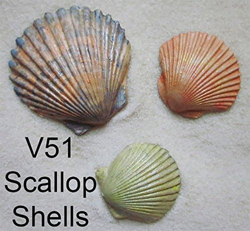 Scott Clark Woolley Scallop Shell Molds - Set of 3