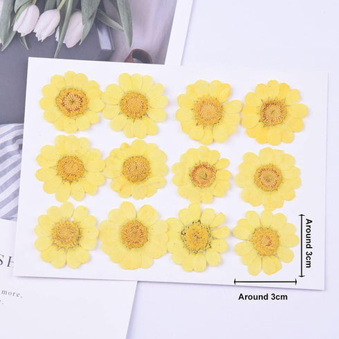 YouthBro 60Pcs White Dried Daisy Pressed Flowers Set for Resin DIY Jewelry, Candle, Soap, and Art Craft