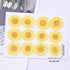 YouthBro 60Pcs White Dried Daisy Pressed Flowers Set for Resin DIY Jewelry, Candle, Soap, and Art Craft